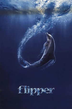 Flipper posteri
