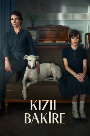 Kızıl Bakire posteri