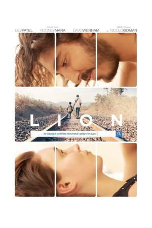Lion posteri