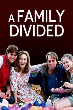 A Family Divided posteri