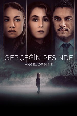 Gerçeğin Peşinde posteri