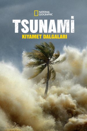 Tsunami: Kıyamet Dalgaları posteri